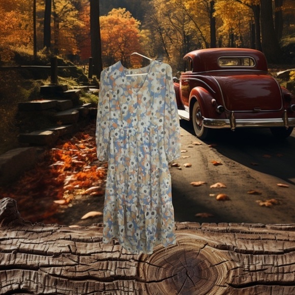 NWT Joie Floral Fields Maxi dress Small - Picture 4 of 13